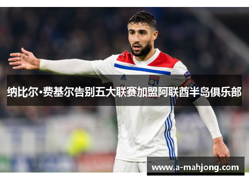 纳比尔·费基尔告别五大联赛加盟阿联酋半岛俱乐部