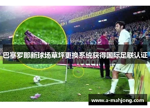 巴塞罗那新球场草坪更换系统获得国际足联认证